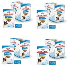 ROYAL CANIN X-Small Puppy | 4 pakuotės | 4 x 12 x 85 g | Šlapias maistas itin mažų veislių šuniukams | iki 10 mėnesių | su užkandžiais padaže | maišelyje