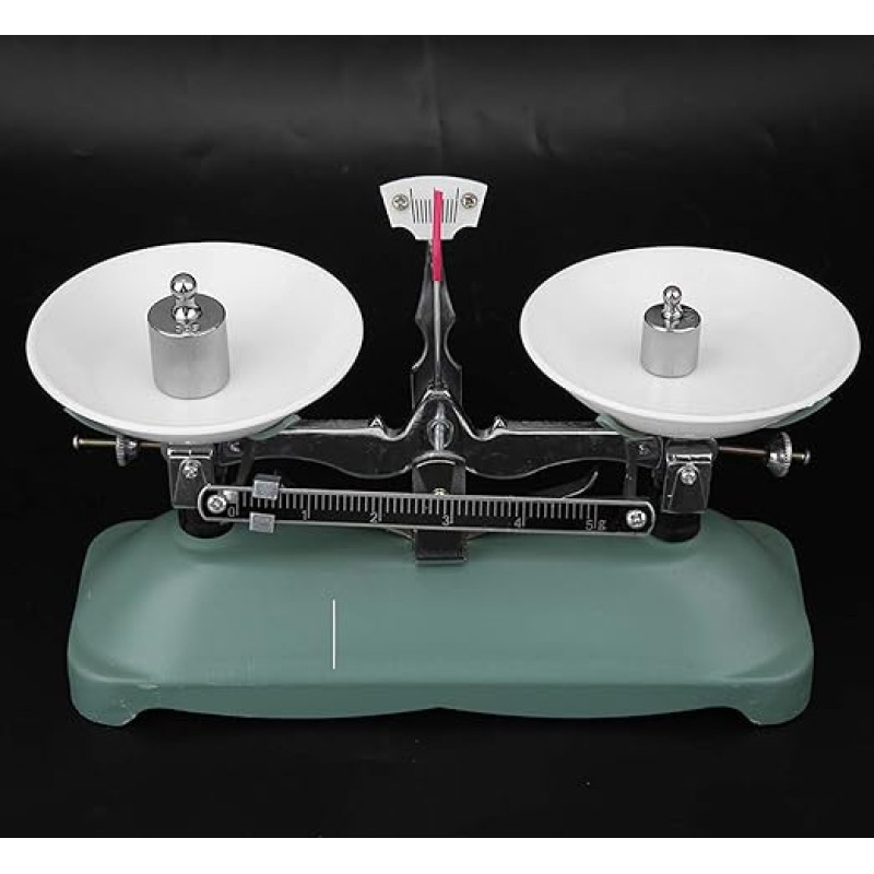 Mechanical Scales with Transparent Plastic Scale for Physical Experiments (100 g)