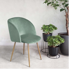 ReseeZac European Style One Dining Room Chair, Kitchen Chair, Living Room Chair, Bedroom Chair, Armchair, for Dining Room, Kitchen, Living Room, Office, Cafe, Velvet Padding, Metal Legs (Grass Green)