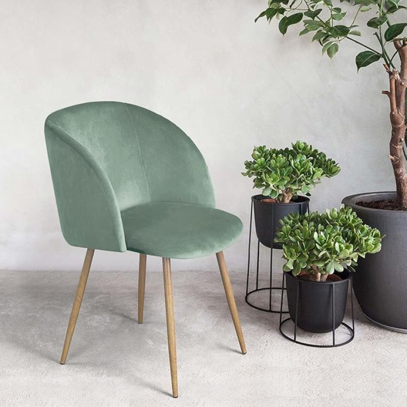 ReseeZac European Style One Dining Room Chair, Kitchen Chair, Living Room Chair, Bedroom Chair, Armchair, for Dining Room, Kitchen, Living Room, Office, Cafe, Velvet Padding, Metal Legs (Grass Green)