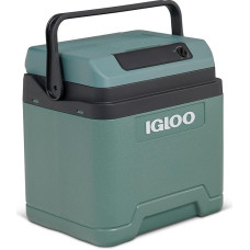 IGLOO Electric Cool Box IE27 for Car and Socket, 27 L, 12 V and 230 V