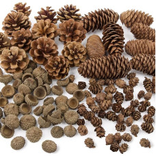 UFLF 120pcs Natural Pine Cones Mini Acorns Hats Autumn Scatter Decoration for Crafts for Halloween Thanksgiving Christmas Tree Christmas Wreath DIY Crafts