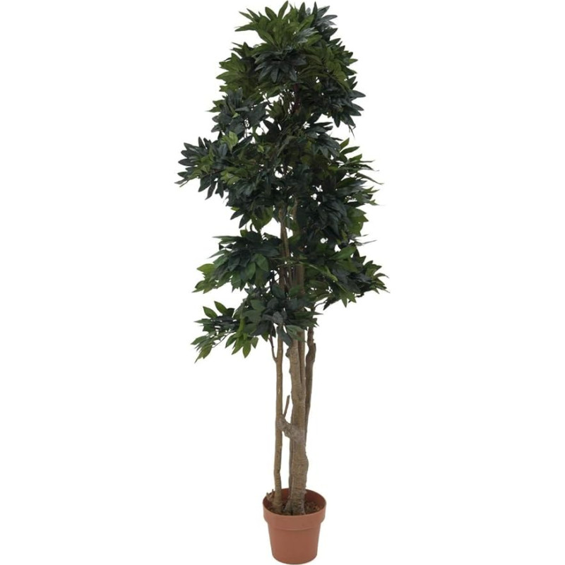 EUROPALMS Vonios aksesuarai ir aksesuarai namams, Žalia spalva