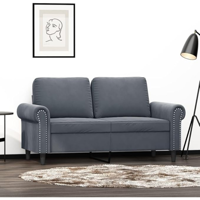 LAPOOH 359520 2-Seater Sofa, Dark Grey, 120 cm, Velvet, Lounge Sofa, Sofas & Couches, Relax Sofa, Couch for Living Room