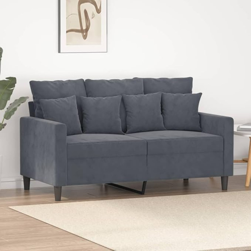 Mengtu 2 vietų sofa Dvigulė sofa Sofa Lounge Sofa Minkšta sofa Atsipalaiduoti sofa Svečių sofa Loveseat Sofa gyvenamajam kambariui Miegamojo kambarys Svečių kambarys Tamsiai pilka 120 cm Velvetas