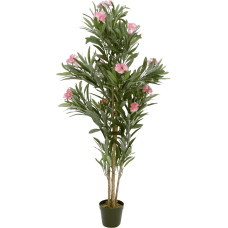 EUROPALMS Oleander Tree, 150 cm, Pink