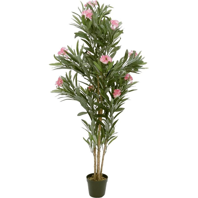 EUROPALMS Oleander Tree, 150 cm, Pink