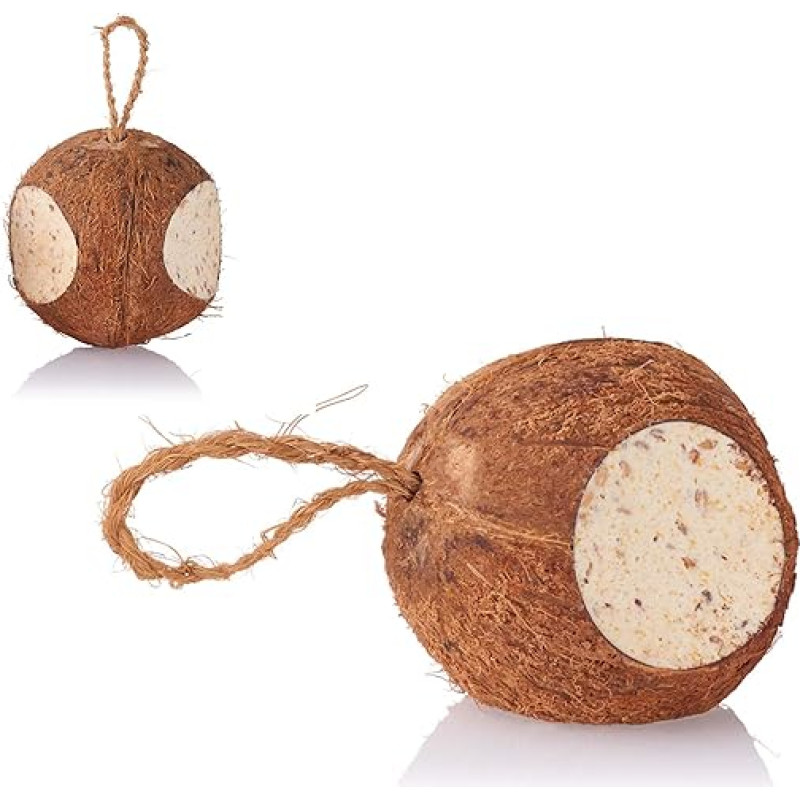 4 Whole Hanging Coconuts Filled with Seeds, Oils/Fats and Minerals