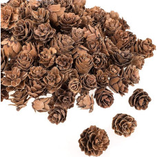 Whaline Pack of 150 Dried Pine Cones, Natural Mini Natural Rustic Pine Cones, Brown Pine Cones, Natural Pine Cones, Decorative for Christmas, Thanksgiving, Advent, Autumn and Winter Decoration