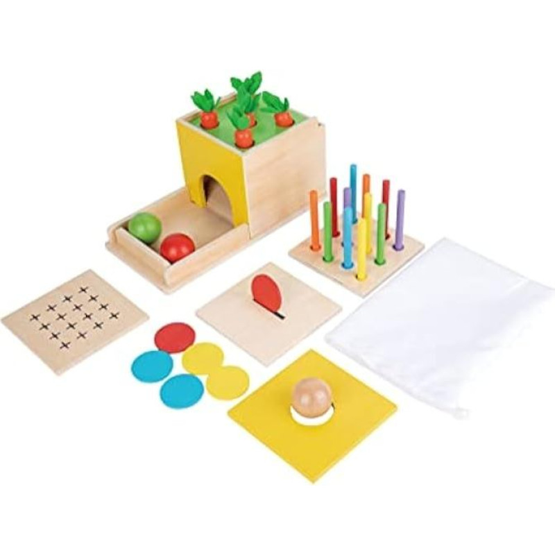 Adena Montessori žaislas nuo 1 2 3 metų, Montessori žaislas kūdikiui apima morkų derliaus žaidimus, Montessori monetų dėžutė 6-12 mėnesių, motorinių įgūdžių žaislas 6 mėnesiams, nuolatinė objektų dėžutė (5-in-1)
