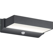 Trio Leuchten Cuando 226669242 LED outdoor wall light, aluminum, 11 Watt, anthracite, motion detector
