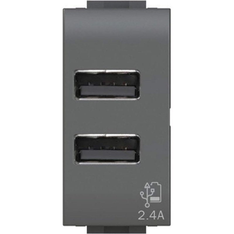 USB 2.4 A Plug to 2 Outputs on Single Module Compatible with Bticino LIVINGLIGHT Anthracite