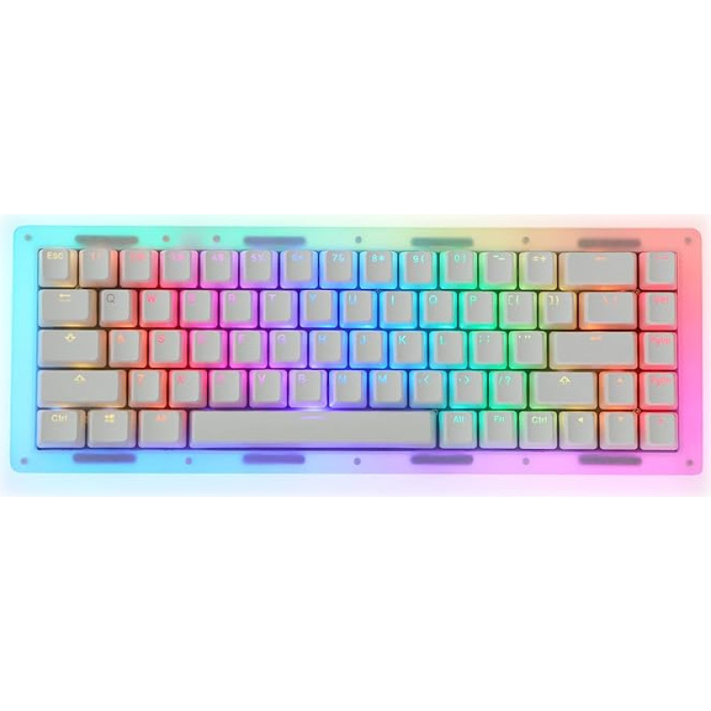 EPOMAKER TK68 65% Seal Acrylic Hot Swappable 2.4Ghz/Bluetooth 5.0/USB-C Wired Wireless Gaming Keyboard with RGB Backlight, Translucent Pudding Keycaps for Office/Home/Win/Mac