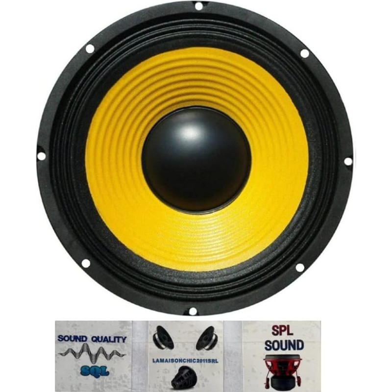 1 WEB W-128 Lautsprecher niedrige mid woofer Diffuser 30,00 cm 300 mm 12