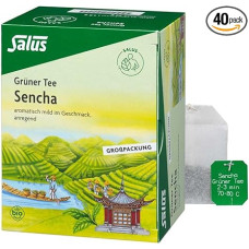 Green Tea Organic Salus Filter Bags Bulk Pack of 40