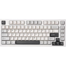YUNZII YZ75 75% Hot Swappable Wireless Gaming Mechanical Keyboard, RGB Backlight, BT5.0/2.4G/USB-C, Double Shot PBT Keycaps for Linux/Win/Mac (Gateron G Pro Black, White)