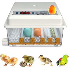 Umisu 16 kiaušinių Automatinis skaitmeninis inkubatorius Ūkio kiaušinių rinkimo mašina Balta