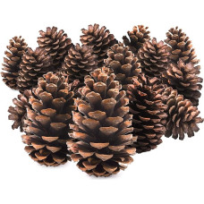 TRIXES 15 x Pine Cones - Tree Decoration - Christmas Wreath Garland Accessories - Pot Pourri - 12 cm Size - Pine Cones Craft Accessories - Colour Natural Brown
