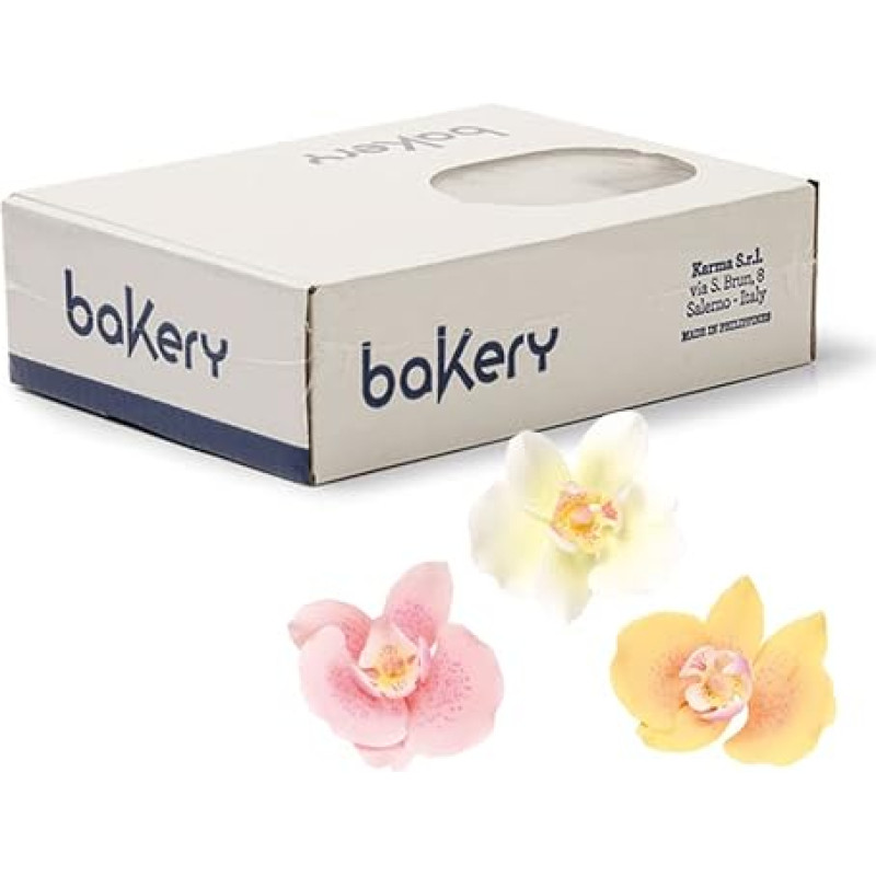 Decora 0500276 Įvairių spalvų 6 orchidėjų falenopsių pakuotė