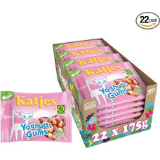 Katjes Yoghurt Gums Storage Pack - Fruit Gum Storage Box with Yoghurt Flavour, Fruity Mix in Different Flavours, Vegetarian, 22 x 175 g