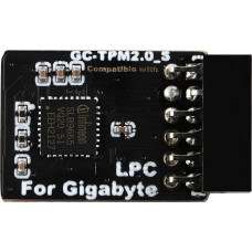 NewHail TPM2.0 Module LPC 12Pin Module with Infineon SLB9665 for Gigabyte Motherboard Compatible with GC-TPM2.0_S