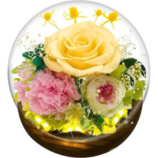 Amžinoji rožė stikle žmonai mamai, draugei, žmonai, močiutės gimtadienio dovana, LED rožė ir šviesa Valentino diena, tikros rožės džiovintos gėlės Kalėdų vestuvių metinių Motinos dienos dovana (geltona)