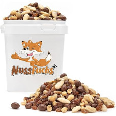 Nut Mix Chocolate 1 kg - Nut Mix - 5 Varieties - with Chocolate Peanuts - Raisins - Cashew Natural - Peanuts Roasted - Almonds Blanched - Crisp Nut Mix Student Feed NussFuchs (1 kg Bucket)