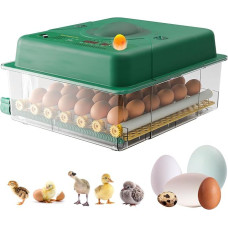 Inkubatorius Visiškai automatinis inkubatorius 36 kiaušiniams su kiaušinių sukimu Schierlampe Temperatūros kontrolė Drėkinimo inkubatorius viščiukams antims putpelėms