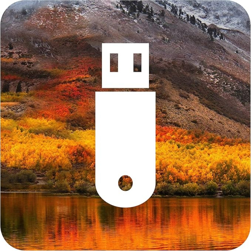 D-S Systems Installation-Bootstick kompatibel mit MacOS 10.13 High Sierra OS X Bootfähiger Bootable USB für Installation / Update / Downgrade