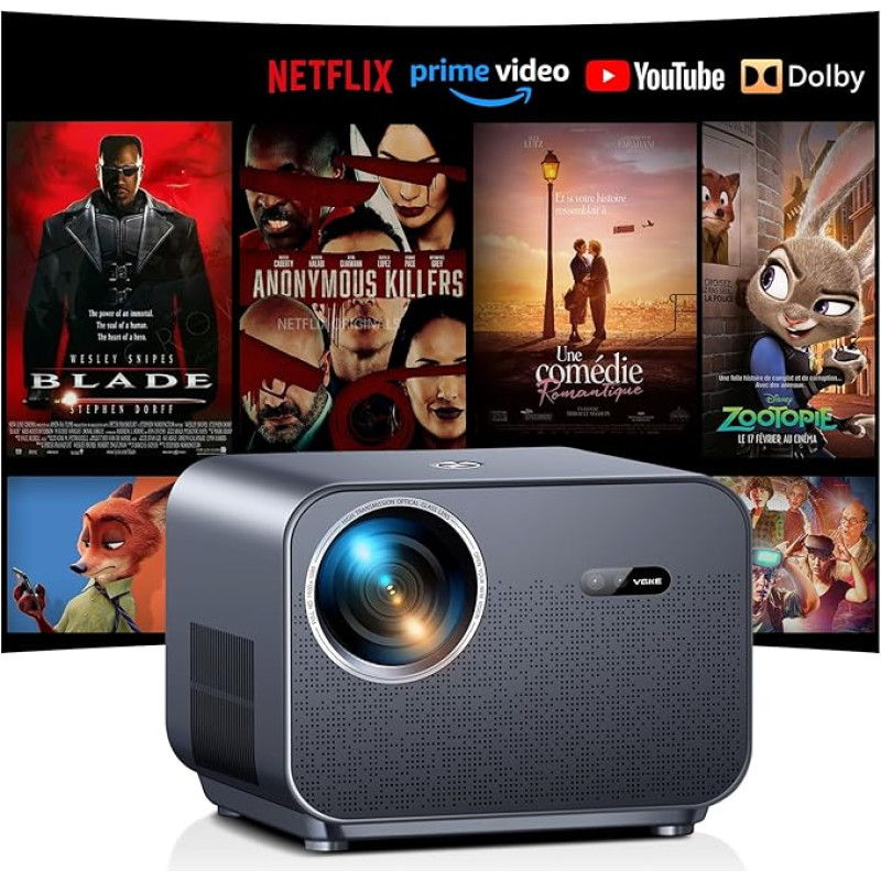 VGKE RD999 duomenų projektorius