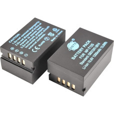 DSTE® 2 vnt. 10,8 V 1200 mAh NP-T125 akumuliatorių pakuotė, suderinama su 