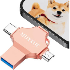 256 GB USB Stick iPhone 4 in 1 Memory Stick iPhone USB Stick for iPhone, i-Pad, Mac, Android, PC