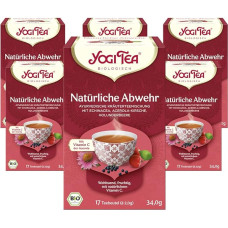 Yogi Tea - Natural Repellent, Ayurvedic Organic Spice and Herbal Tea, Vitamin C, Blend of Echinacea, Acerola Cherry and Elderberry, Yogi Tea Pack of 6, 6 x 17 Bags (102 Tea Bags in Total)
