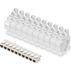 DIGITUS rinkinys: 10 vnt. - su 10x Cat6A jungiamojo modulio jungtimis - 45° kampu - ženklinimo laukelis - dulkėtas dangtelis