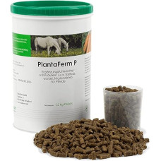 PlantaVet PlantaFerm P | 1.2 kg | Supplementary Feed for Horses | To Support Physiological Gastrointestinal Function | Can Promote Intestinal Symbiosis