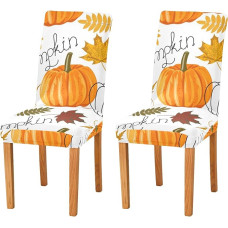 Pumpkins Autumn Chair Covers Set for Dining Room Stretchy Dining Room Chair Slipcover Restaurant Hotel Removable Washable Kitchen Chair Slipcover