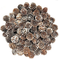 KY-Tech Christmas Pine Cones, 100 Pieces 1-2cm Mini Pine Cones Natural Pine Cones for Crafts Christmas Rustic Pine Cones for Christmas Wreath Decorations