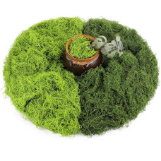 Dirbtinės samanos dekoravimui, dirbtinės samanos dekoravimui, dirbtinės samanos meno samanos netikros dekoratyvinės samanos amatų samanos sienoms lovelė akvariumas lopšelis-darželis modelio kūrimas (tamsiai žalia 50G + šviesiai žalia 50G)