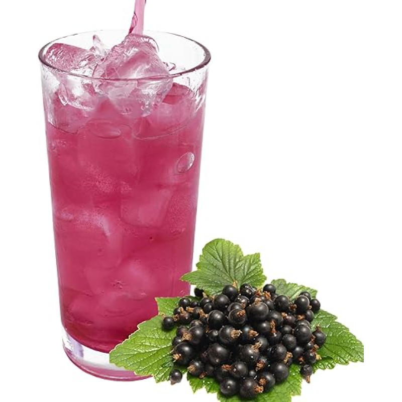 Blackcurrant Flavour Extremely Rich Drink Powder for Isotonic Sports Drink Energy Drink ISO Drink Electrolyte Drink Wellness Drink (333 g)