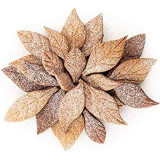 silikomart - VOILA' COOKIE - LEAVES - FORMABIS CARD 240 x 150 H 20 mm