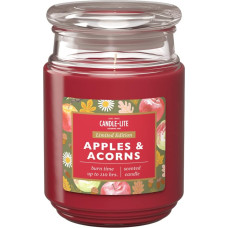 Candle-Lite Scented Candle in Glass with Lid | Apples & Acorns | Scented Candle Fruity | Candles Long Burning Time (up to 110 h) | Candles Red | Scented Candle Large (510 g)