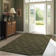 Biscpro Doormat Indoor Outdoor Washable Entrance Rug Indoor Dirt Trapper Mat Non-Slip Door Mat Indoor Rug for Entrance, Patio, Hallway, Garden, Indoor and Outdoor Use (Oliver Green, 90 x 150 cm)