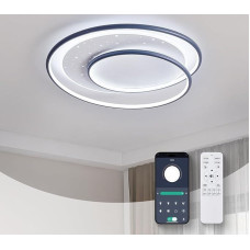 homwarmy LED Ceiling Light Starry Sky Children's Room Lamp Ceiling Lights with Remote Control 42 W Ceiling Light Bedroom Modern Ceiling Light Living Room 55 cm Ceiling Lamp Kitchen Ceiling Light