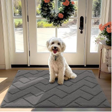 Biscpro Doormat Grey 80 x 120 cm Indoor and Outdoor Washable Door Mat, Waterproof Door Mat, Non-Slip Dirt Trapper Rug for Entrance, Front Door, Patio, Hallway, Garden