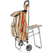 Vieno rato laisvalaikio pirkinių vežimėlis su sulankstoma sėdyne (Jungtinėje Karalystėje gali būti taikoma PVM lengvata)