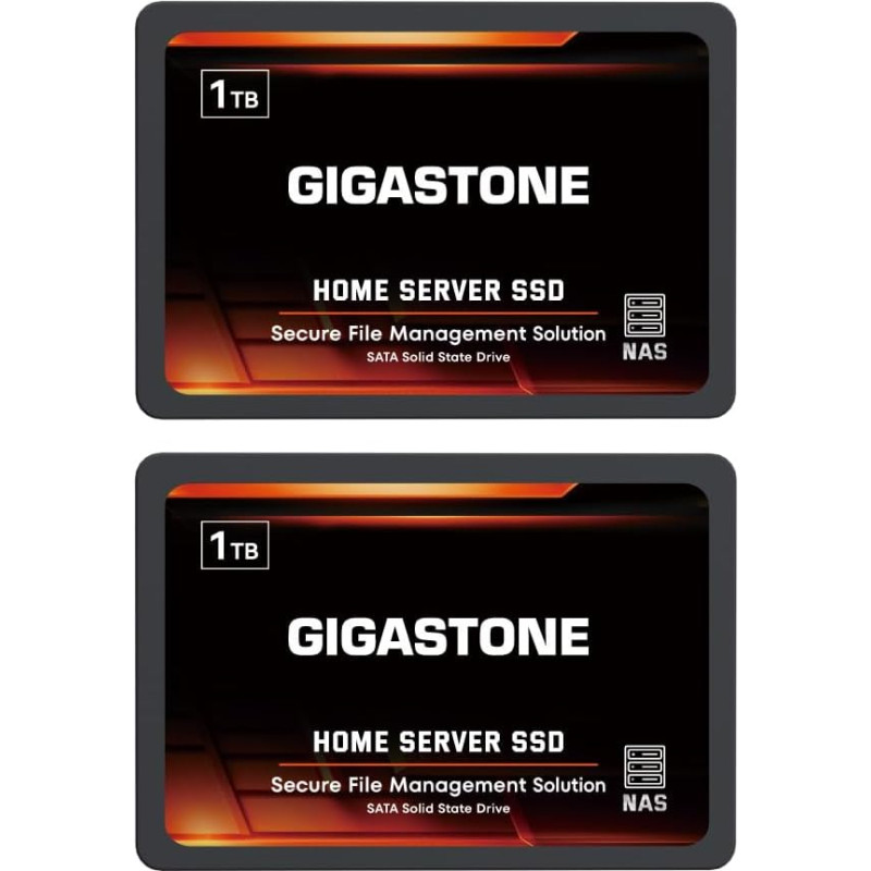 GIGASTONE Home NAS SSD 1TB (2 vnt.) 24/7 Durable TLC High Durability Personal Server Cloud Data Storage RAID 3D NAND 2,5 colių SATA III vidiniai kietieji diskai