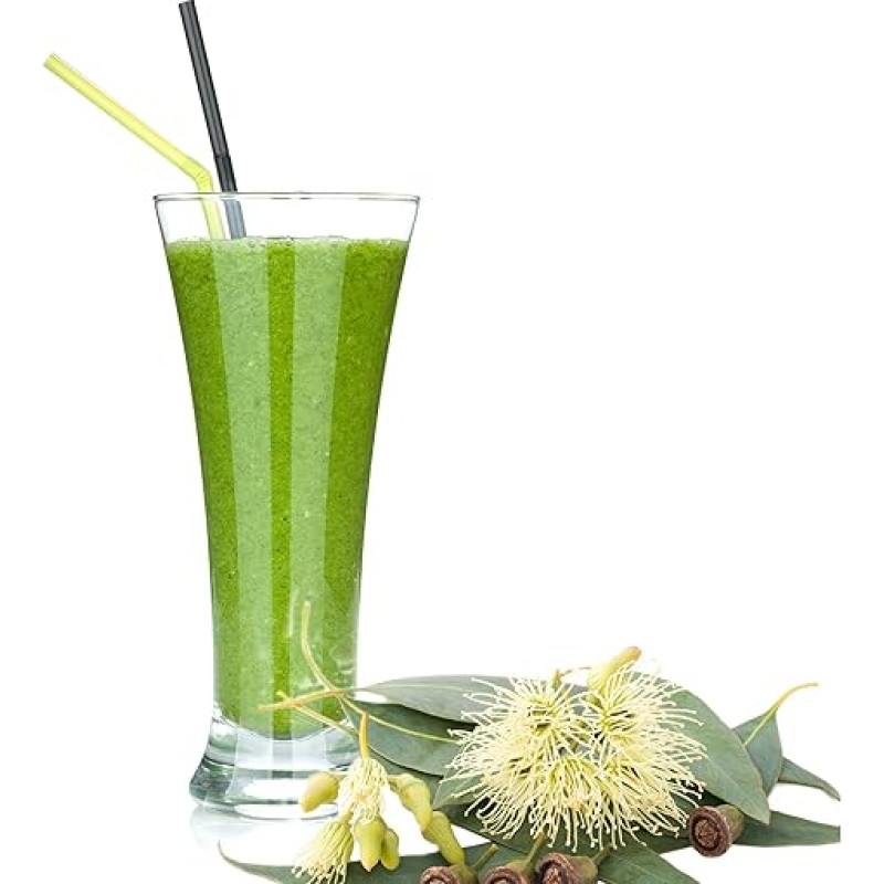 Eucalyptus Whey Powder Luxofit Enriched with L-Carnitine Protein Wellness Drink Aspartame-Free Whey (Eucalyptus, 10 kg)