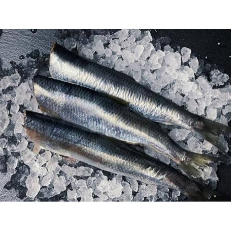 Švieži kėgliai | Kėgliai | Paruošti virtuvei | Atšaldytas skubus pristatymas | 500g | Geriausia kokybė | Vakuuminė pakuotė | delishopper