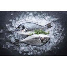 Dorade | Whole Dorade | Excluded and Shed | Chilled Express Shipping | 1000g | Best Quality | Vacuum Packed | delishopper