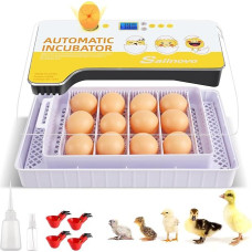 12 savininkų inkubatorius